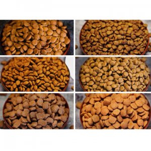 狗糧批發(fā)優(yōu)質(zhì)通用可OEM/ODM代工