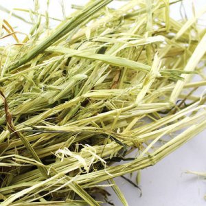 燕麥草龍貓荷蘭豬兔子牧草貼牌OEM/ODM