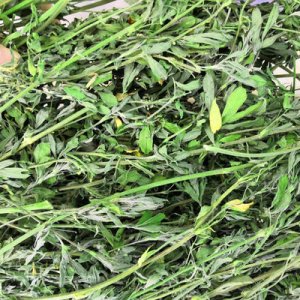 紫花苜蓿草干草兔糧OEM代加工