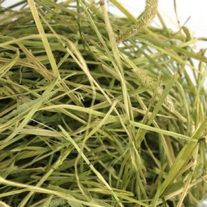 提摩西草干草貼牌OEM/ODM