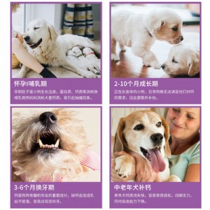 犬用鈣片750片貼牌OEM/ODM