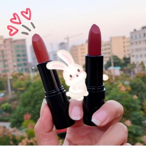 爆款minfei按壓啞光紅棕色口紅OEM/ODM定制代加工