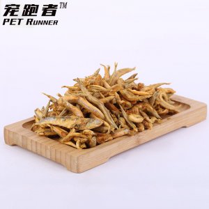 日照星萊寵物用品有限公司