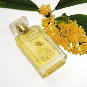 桂花小眾香水perfume可OEM/ODM代工