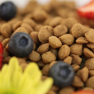 貝可恩營養犬糧代加工貼牌OEM/ODM