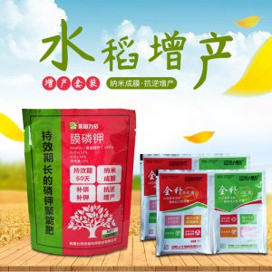 濱州巨人生物科技有限公司