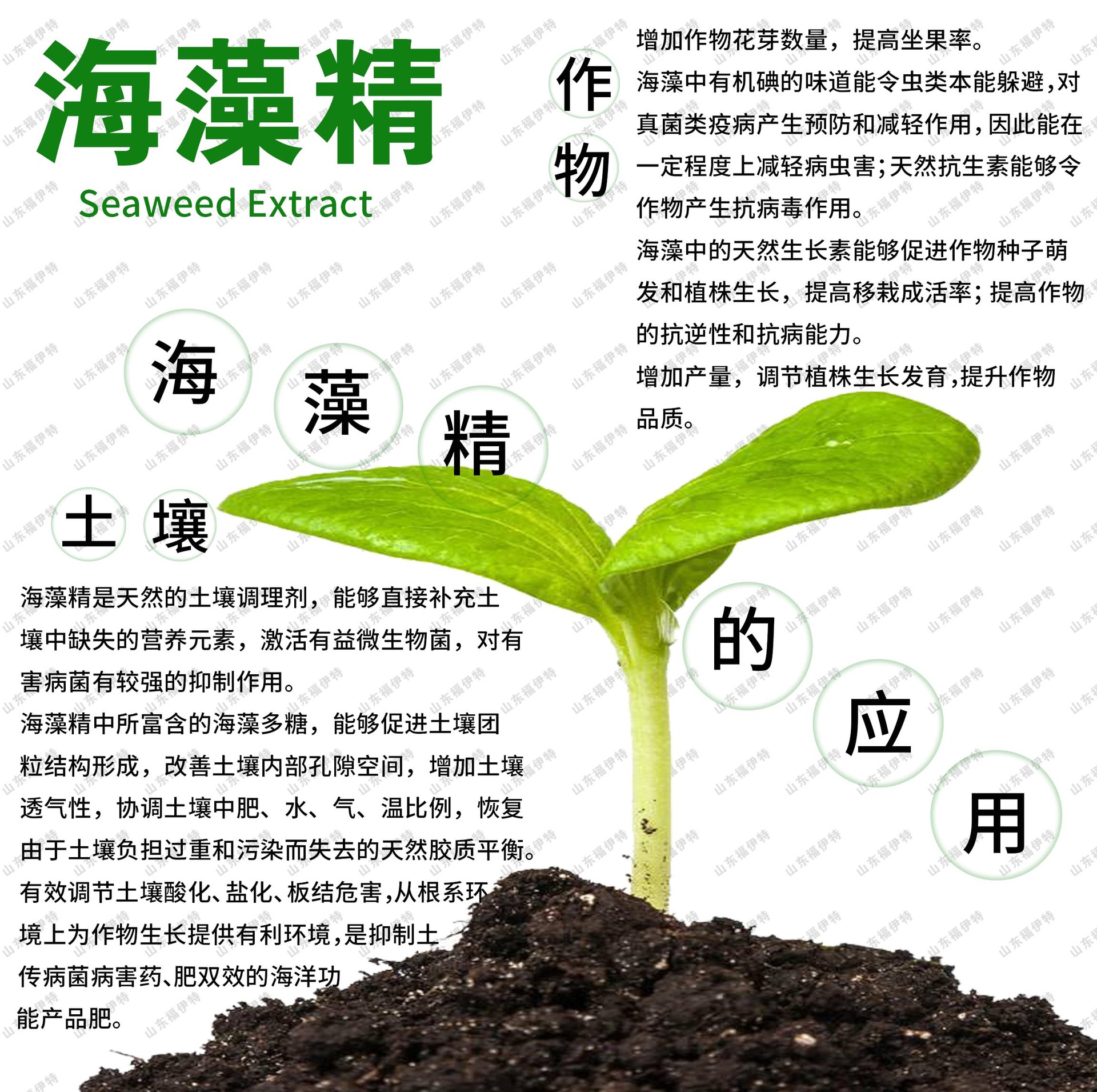 海藻精土壤調理劑OEM代加工