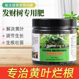 發(fā)財(cái)樹(shù)用肥料OEM代加工