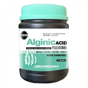 山東國(guó)正農(nóng)業(yè)發(fā)展有限公司