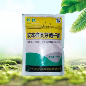 炸線1億膠凍樣類芽孢桿菌OEM/ODM代加工