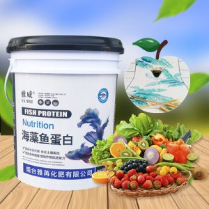 酶解魚蛋白OEM代加工