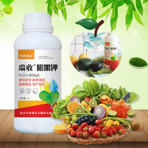 瑞收 膨果鉀OEM/ODM代加工