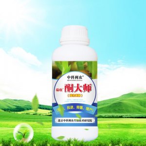 青島中科利農光碳能量研發有限公司