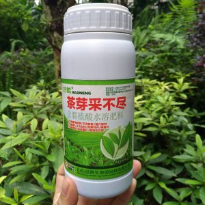 茶葉催芽劑OEM代加工