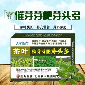 茶葉催芽芽肥芽頭多OEM代加工