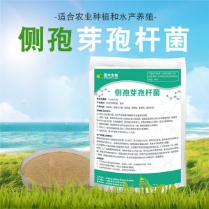 側(cè)孢芽孢桿菌貼牌OEM/ODM