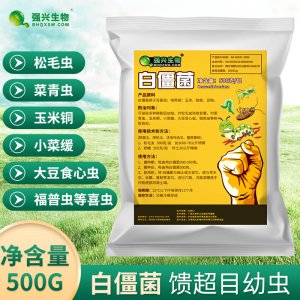 白僵菌原粉可OEM/ODM代工