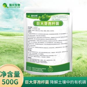 巨大芽孢桿菌貼牌定制代加工