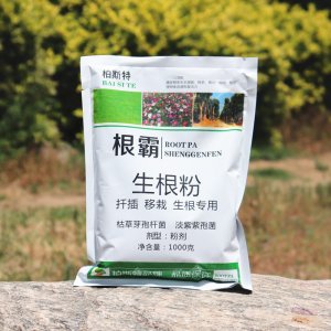 根霸快速生根粉貼牌OEM/ODM 根霸快速生根粉貼牌OEM/ODM