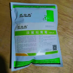 水谷欣淡紫擬青霉根線靈代加工貼牌OEM/ODM