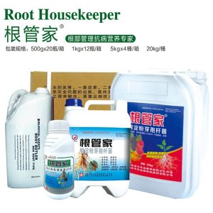 豐本根管家貼牌定制代加工