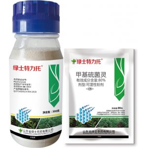 綠士特力托OEM代加工