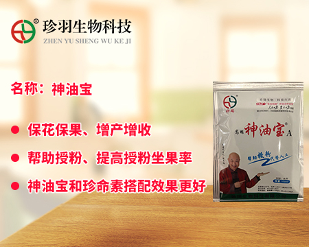 神油寶貼牌定制代加工