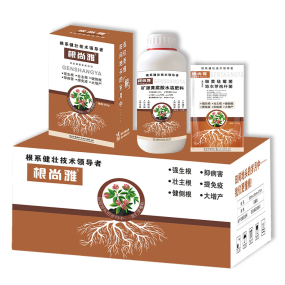 根尚雅OEM代加工