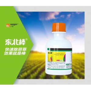 東北棒貼牌OEM/ODM