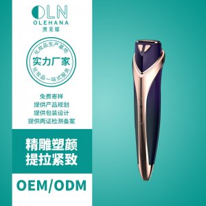 B15雙探頭精雕美容儀可OEM/ODM代工
