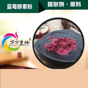 藍莓酵素粉OEM/ODM代加工