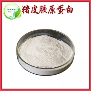 豬皮膠原蛋白貼牌定制代加工 豬皮膠原蛋白貼牌定制代加工