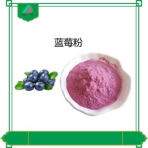 藍莓果粉OEM/ODM定制代加工