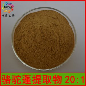 駱駝蓬提取物貼牌OEM/ODM 駱駝蓬提取物貼牌OEM/ODM