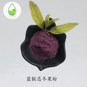 藍靛忍冬果粉OEM代加工