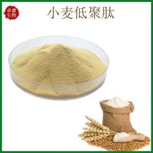小麥小分子肽OEM代加工
