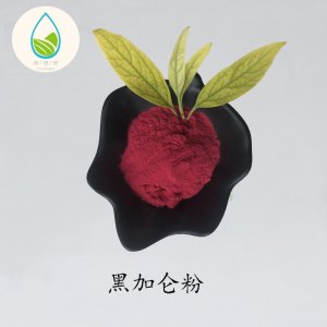 黑加侖果粉OEM/ODM定制代加工