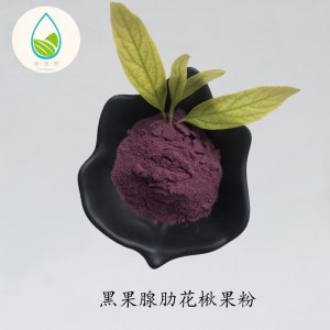 黑果腺肋花楸果粉貼牌OEM/ODM