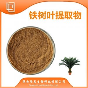 鐵樹葉提取物代加工貼牌OEM/ODM