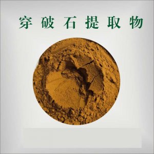 穿破石提取物可OEM/ODM代工
