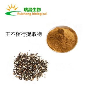 王不留行提取物OEM/ODM代加工