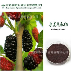 桑葚提取物OEM/ODM代加工