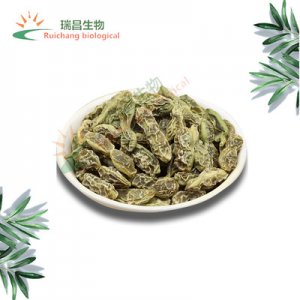 槐角提取物代加工貼牌OEM/ODM