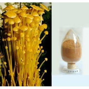 浙江方格藥業有限公司