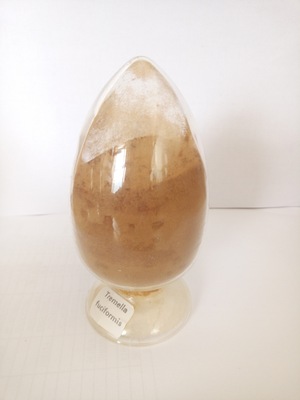 金針菇多糖提取物粉加工-金針菇多糖提取物粉oem代加工生產基地