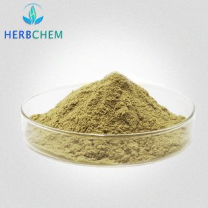 橄欖苦甙70%OEM代加工