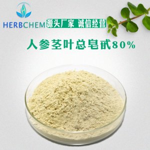 水溶性人參皂苷提取物代加工貼牌OEM/ODM