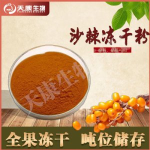 沙棘凍干粉99%貼牌OEM/ODM