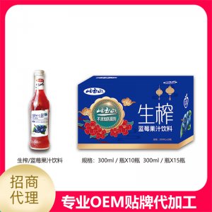 生榨藍莓汁玻璃瓶300ml貼牌OEM/ODM