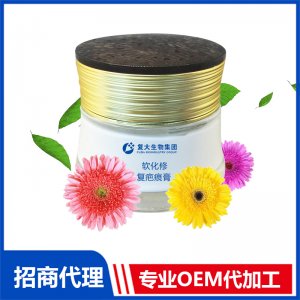 軟化修復(fù)疤痕膏OEM/ODM定制代加工